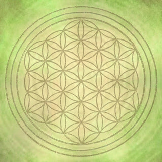 DIY FLOWER OF LIFE 