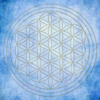 DIY FLOWER OF LIFE 