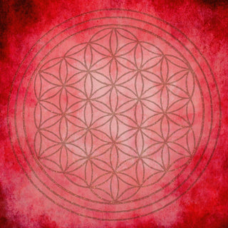 DIY FLOWER OF LIFE 